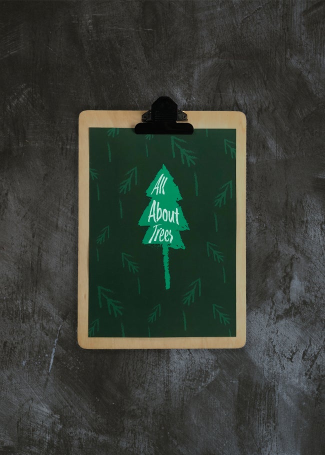 Christmas Gift Showcase