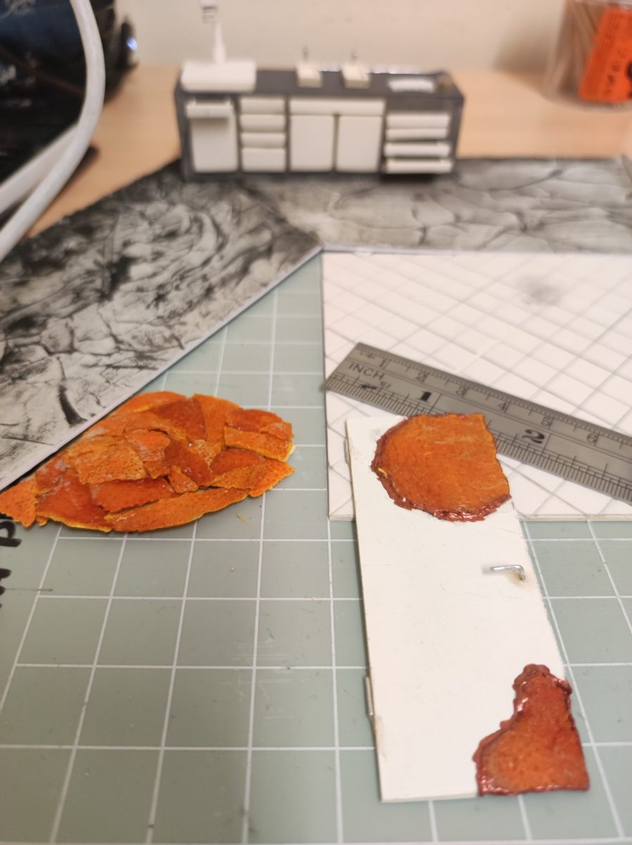 model making detail of floor and door, using dry orange peels as part of the model box.