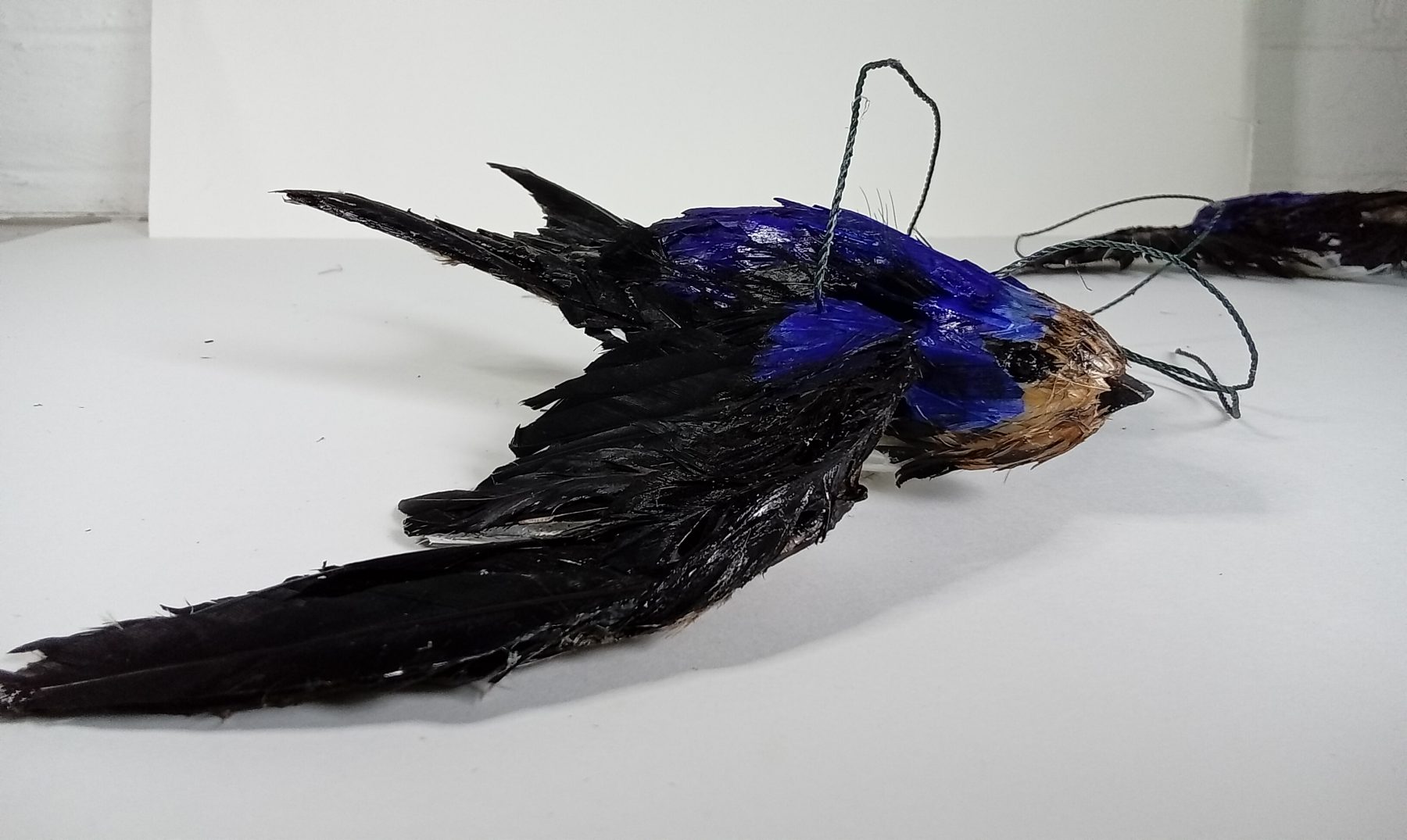 Swallow Puppet