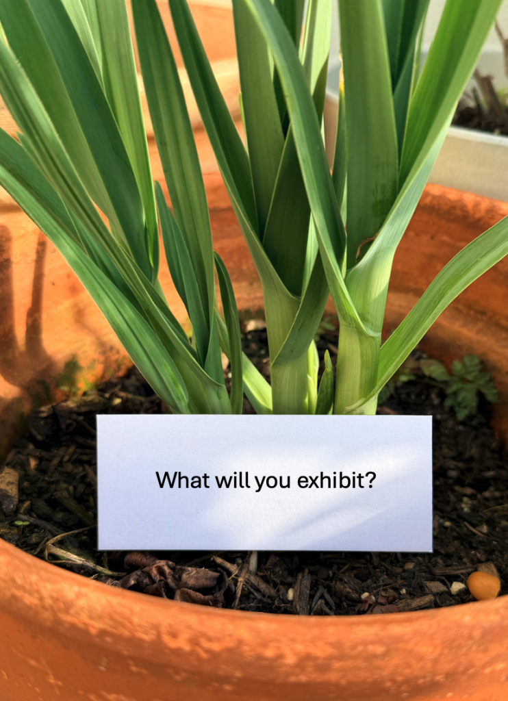 New Shoots: Early Adventures in Exhibit Design with Three SBTD Members – Susannah Henry